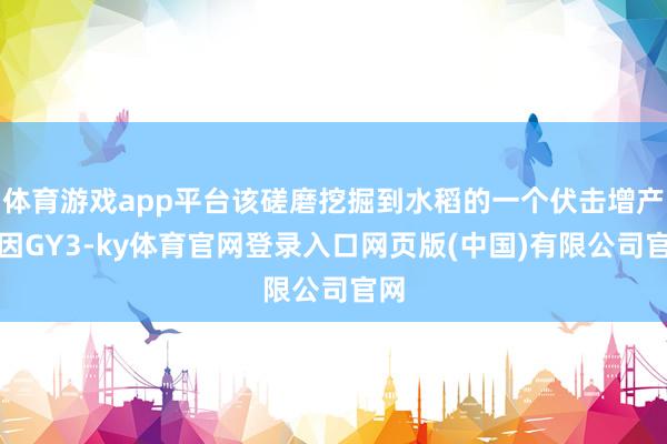 体育游戏app平台该磋磨挖掘到水稻的一个伏击增产基因GY3-ky体育官网登录入口网页版(中国)有限公司官网