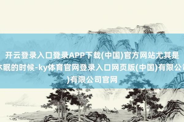 开云登录入口登录APP下载(中国)官方网站尤其是晚上休眠的时候-ky体育官网登录入口网页版(中国)有限公司官网