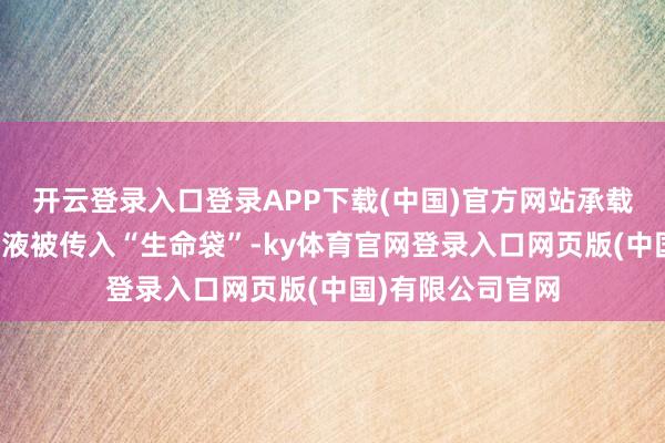 开云登录入口登录APP下载(中国)官方网站承载着生命能量的血液被传入“生命袋”-ky体育官网登录入口网页版(中国)有限公司官网