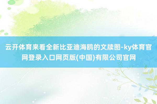 云开体育来看全新比亚迪海鸥的文牍图-ky体育官网登录入口网页版(中国)有限公司官网